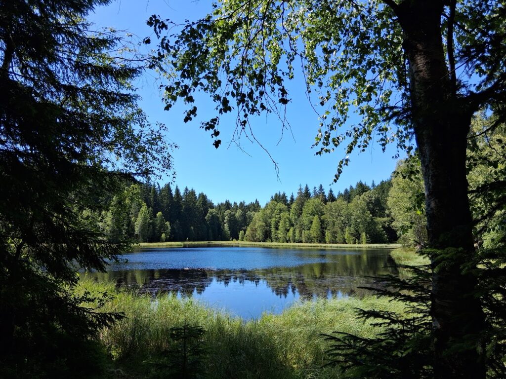 Vogtlandsee