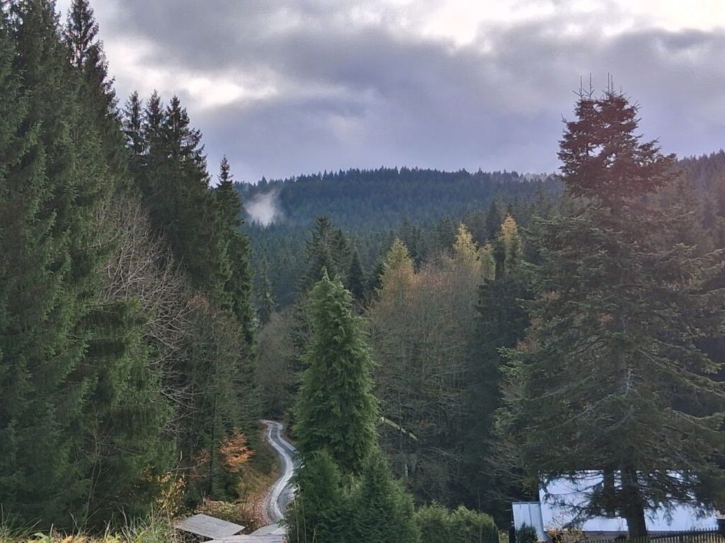 Waldtal Sachsengrund in Morgenröthe Rautenkranz
