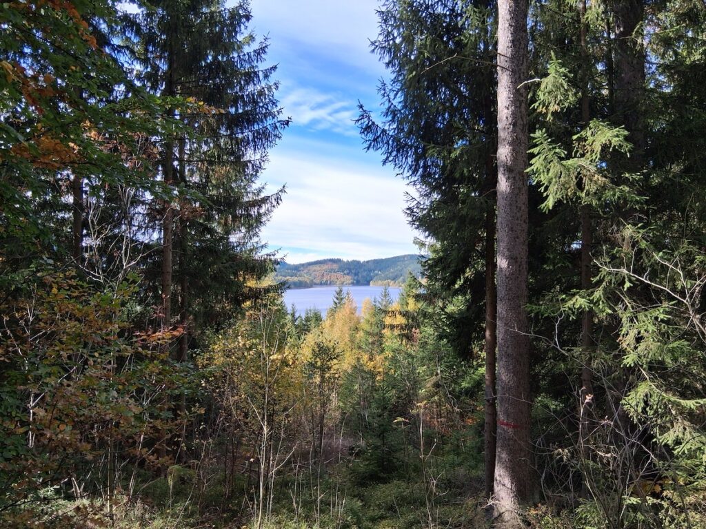 Vogtland - hier kann FRAU alleine wandern