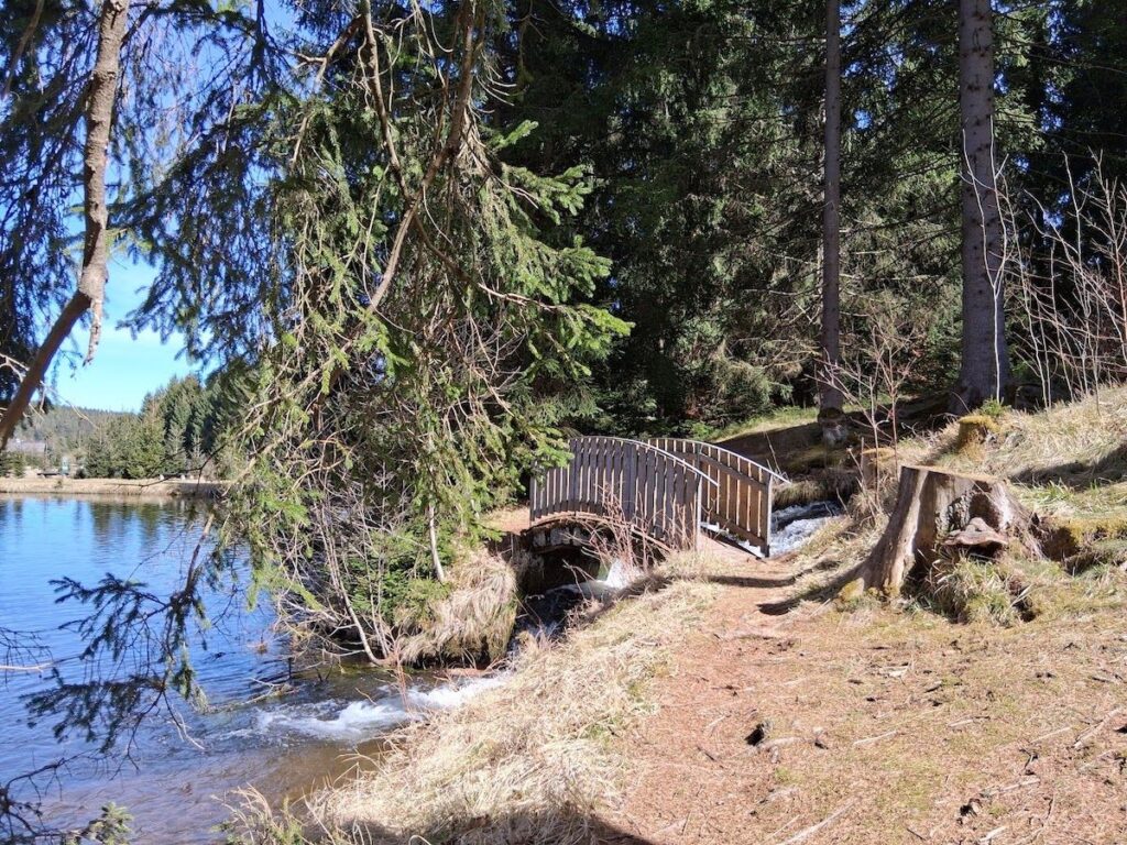 Brücke am Thierteich im Vogtland