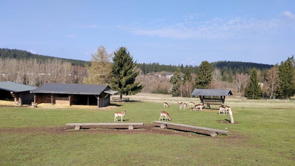 Kostenlose Erlebnisse im Vogtland