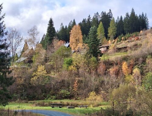 Sachsengrund Vogtland