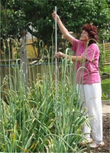 Uta Kittelmann, Ehefrau vom Knoblauch-Pabst