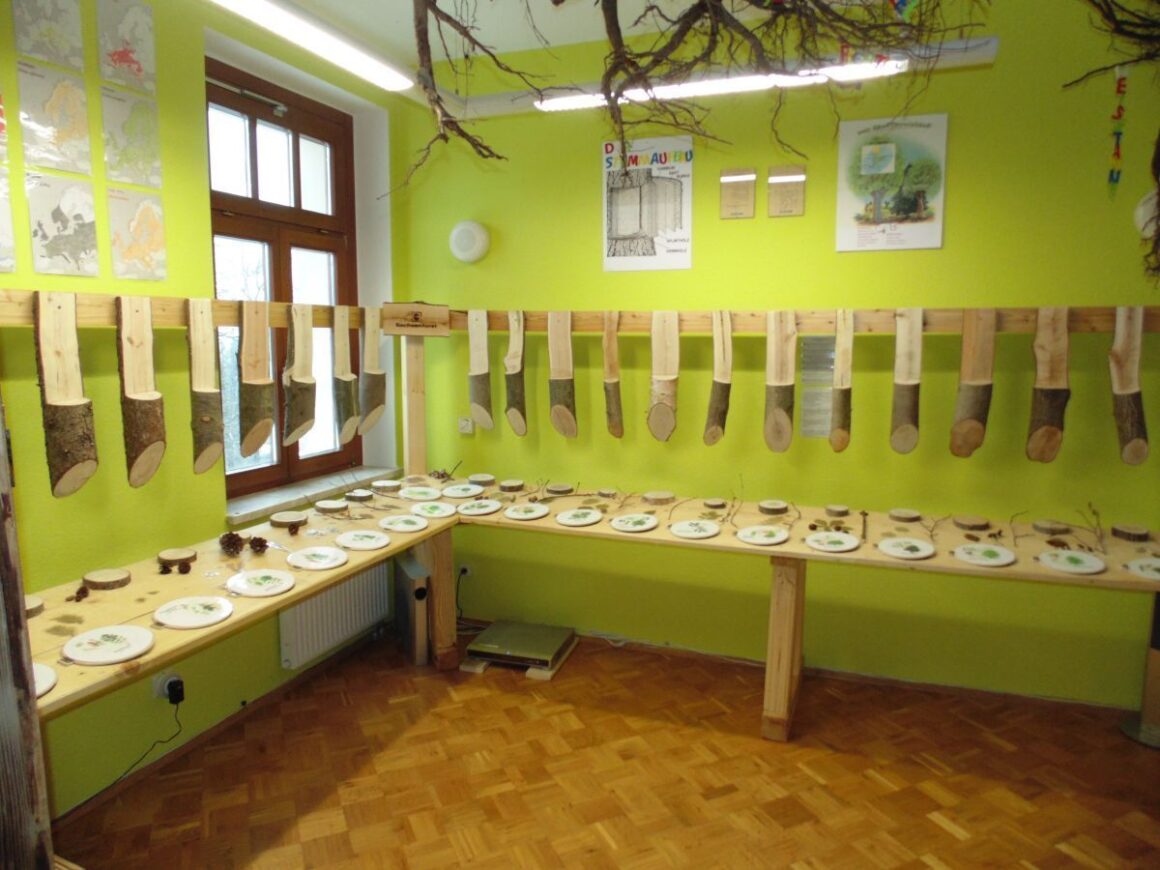 Walderlebnisausstellung Vogtland