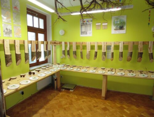 Walderlebnisausstellung Vogtland