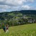 wanderweg in Klingenthal im Vogtland