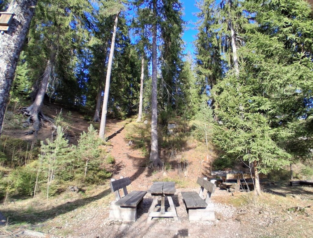 Bank im Wald Vogtland