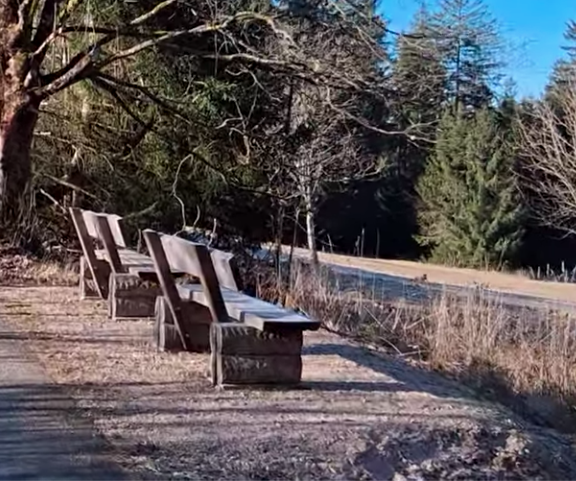 Aussichtspunkt Bänke