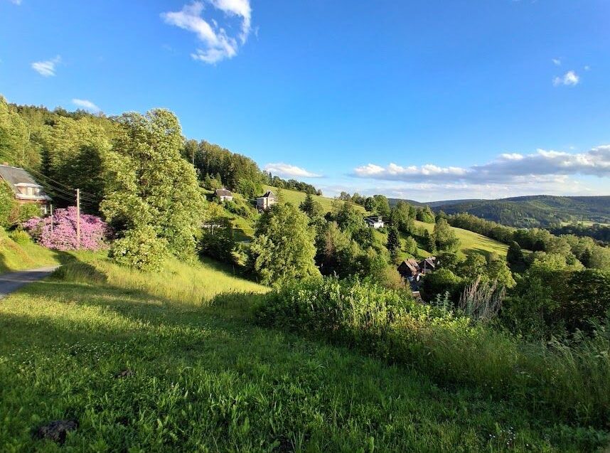 Aussicht im Vogtland