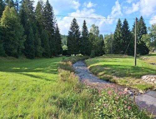 Sommer im Vogtland