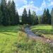 Sommer im Vogtland