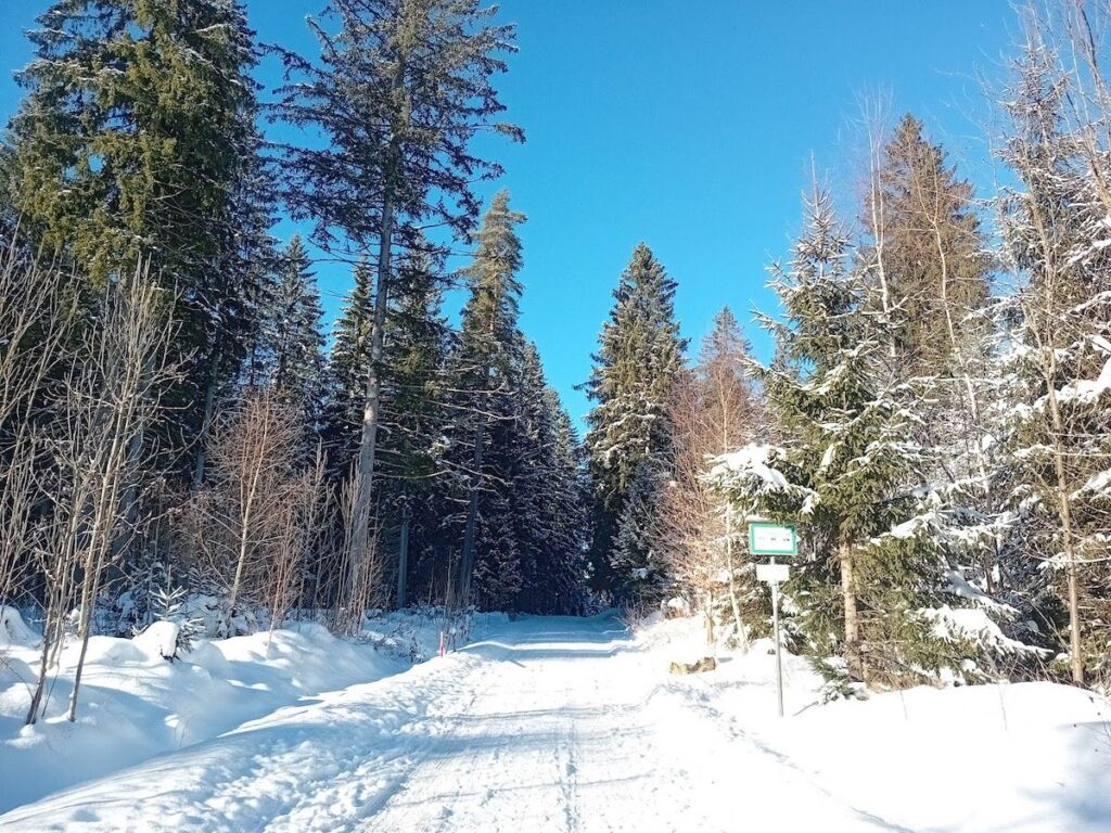 Winterlandschaft Vogtland