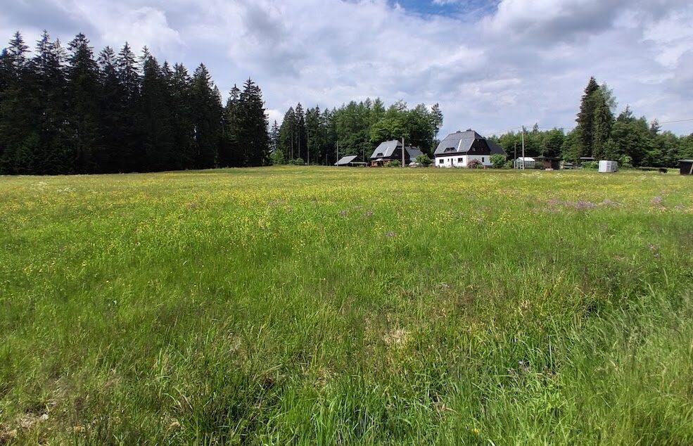 Zeughaus Blick