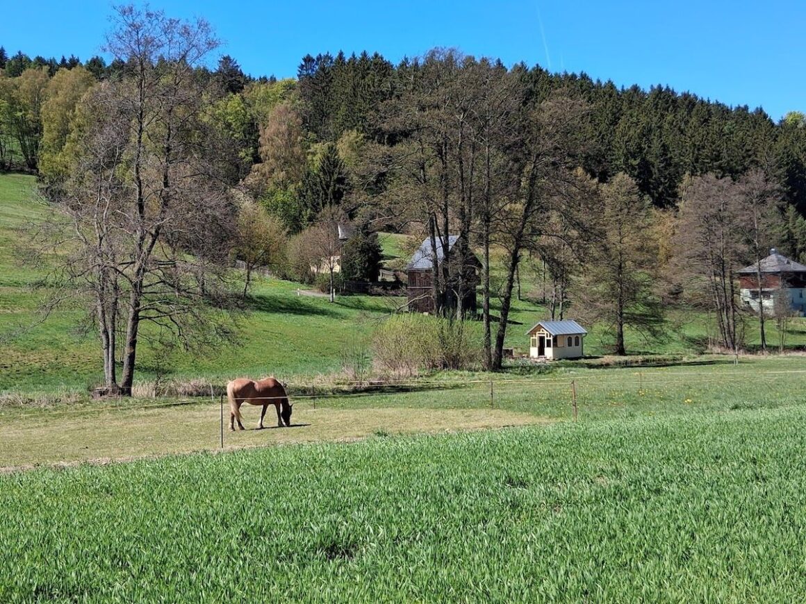 ins Vogtland ziehen