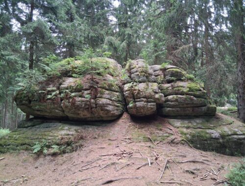 Aschbergwiege