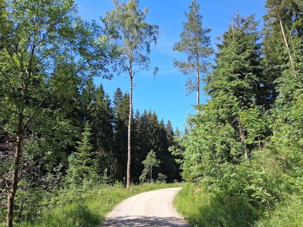 Wege im Vogtland