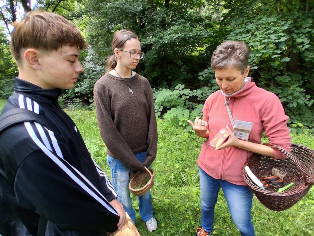 Auf Kräuterwanderung mit Kindern