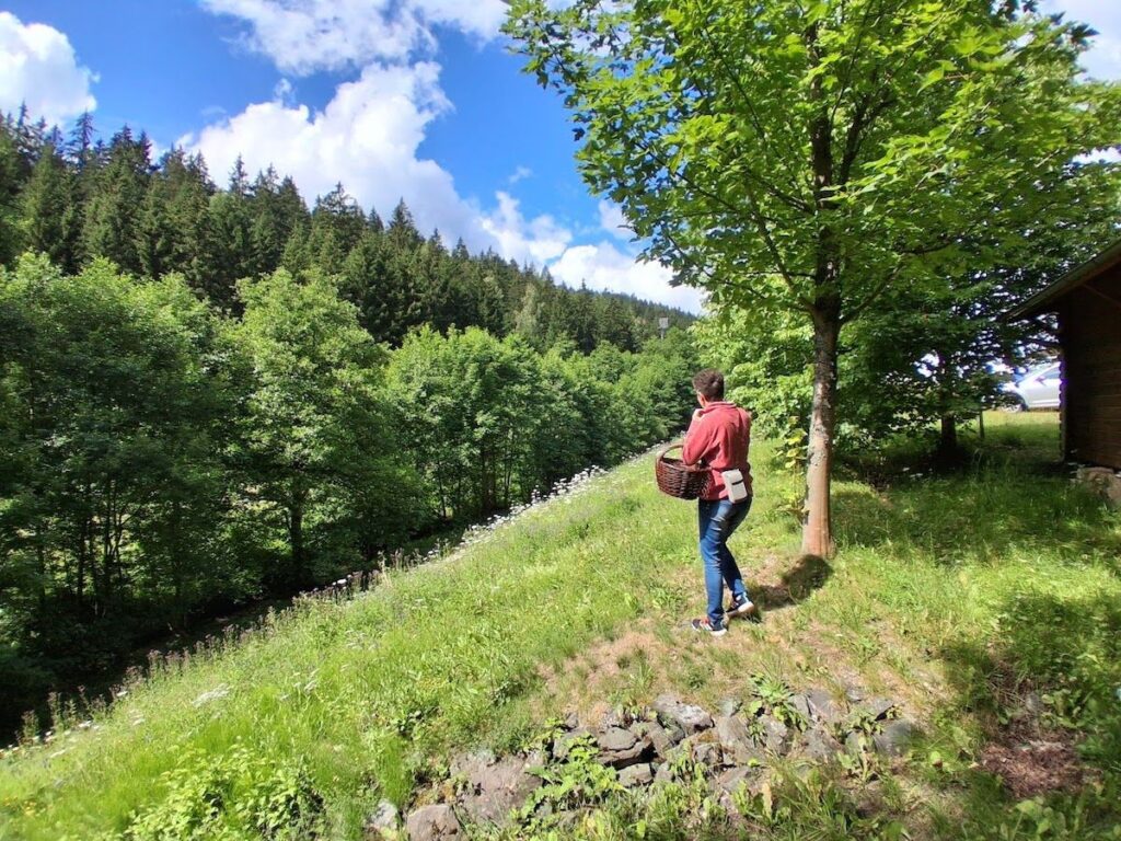 Zdenka