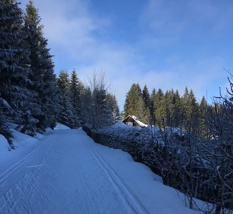 Winselburg Waldweiler