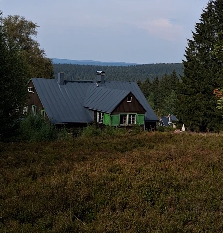 Waldweiler Winselburg