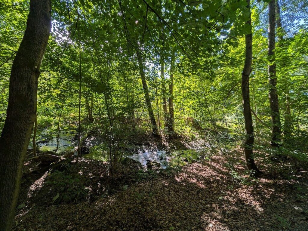Poetenweg Rodewisch