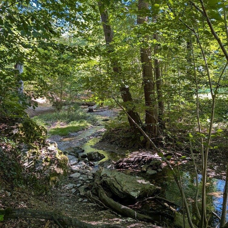 Poetenweg Rodewisch