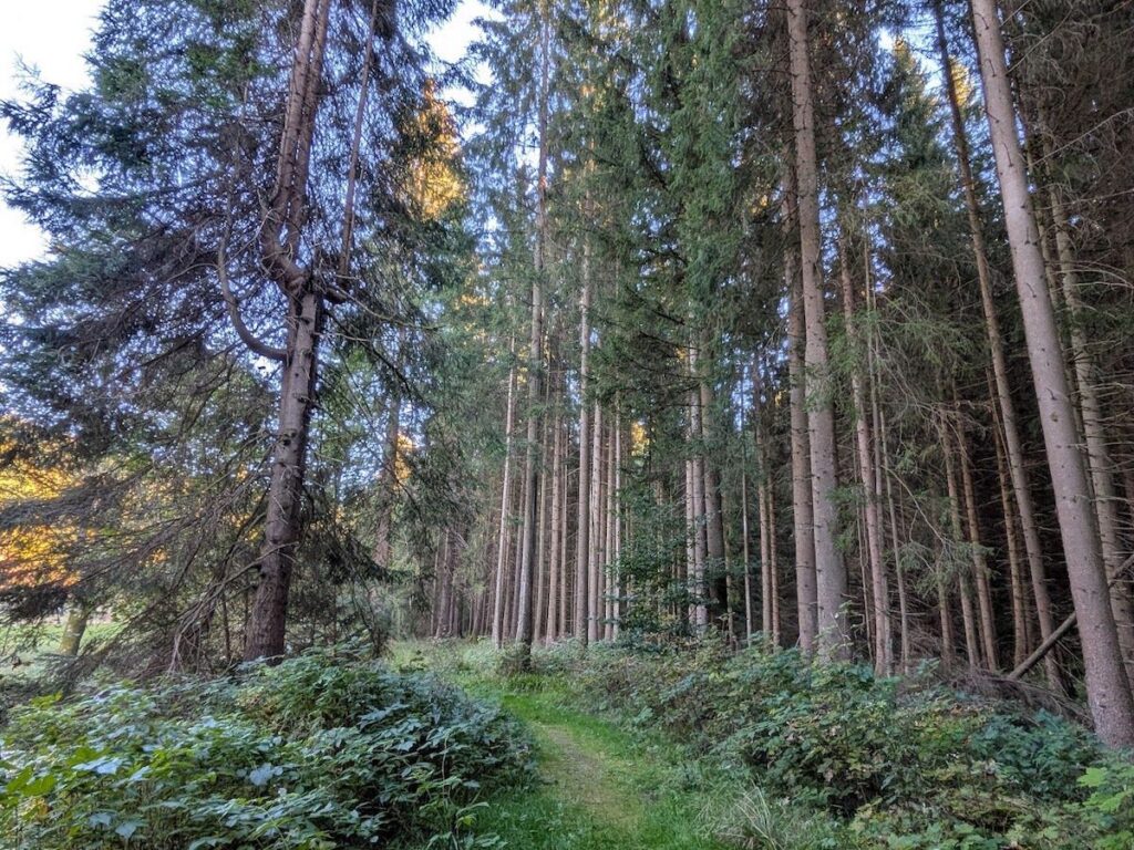 Wandern im Vogtland Pyratalweg