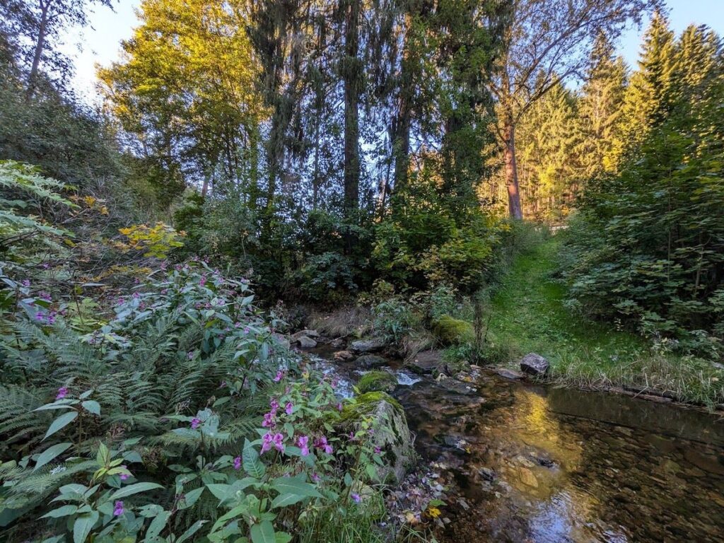 Pyratalweg
