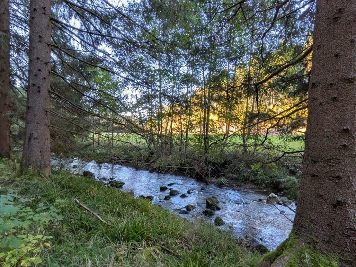 wandern im Vogtland Pyratalweg