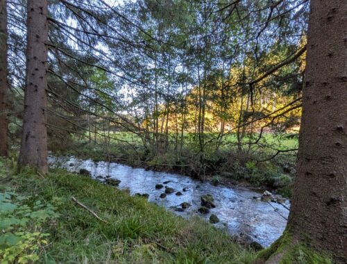 wandern im Vogtland Pyratalweg
