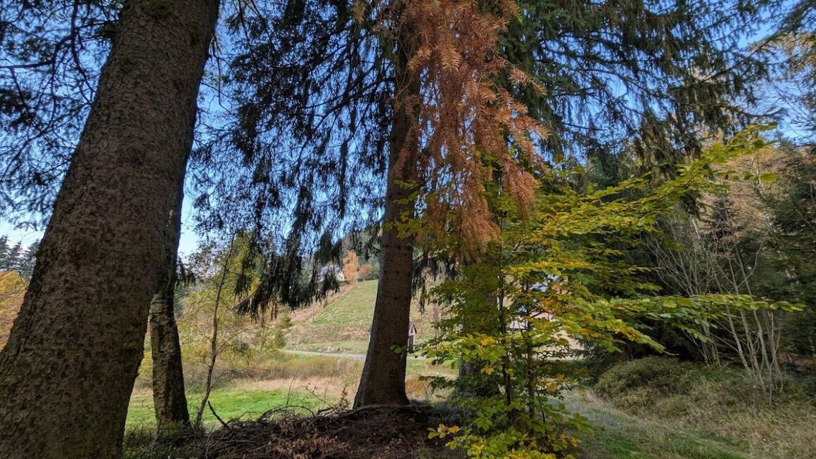 Herbst im Vogtland: Der Wildbahnweg in Morgenröthe