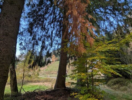 Herbst im Vogtland: Der Wildbahnweg in Morgenröthe