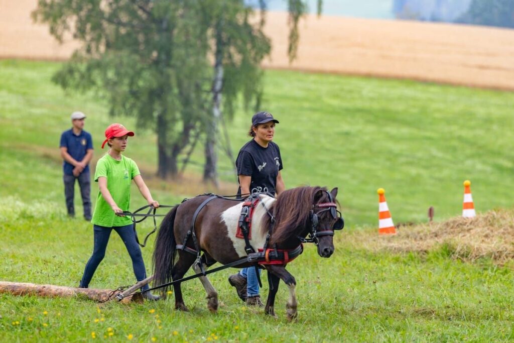 Holzrückewettbewerb Vogtland