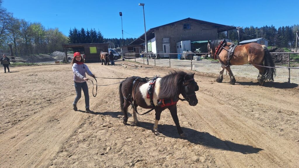 Kinder und Pferde auf dem Pferdehof Scholz im Vogtland