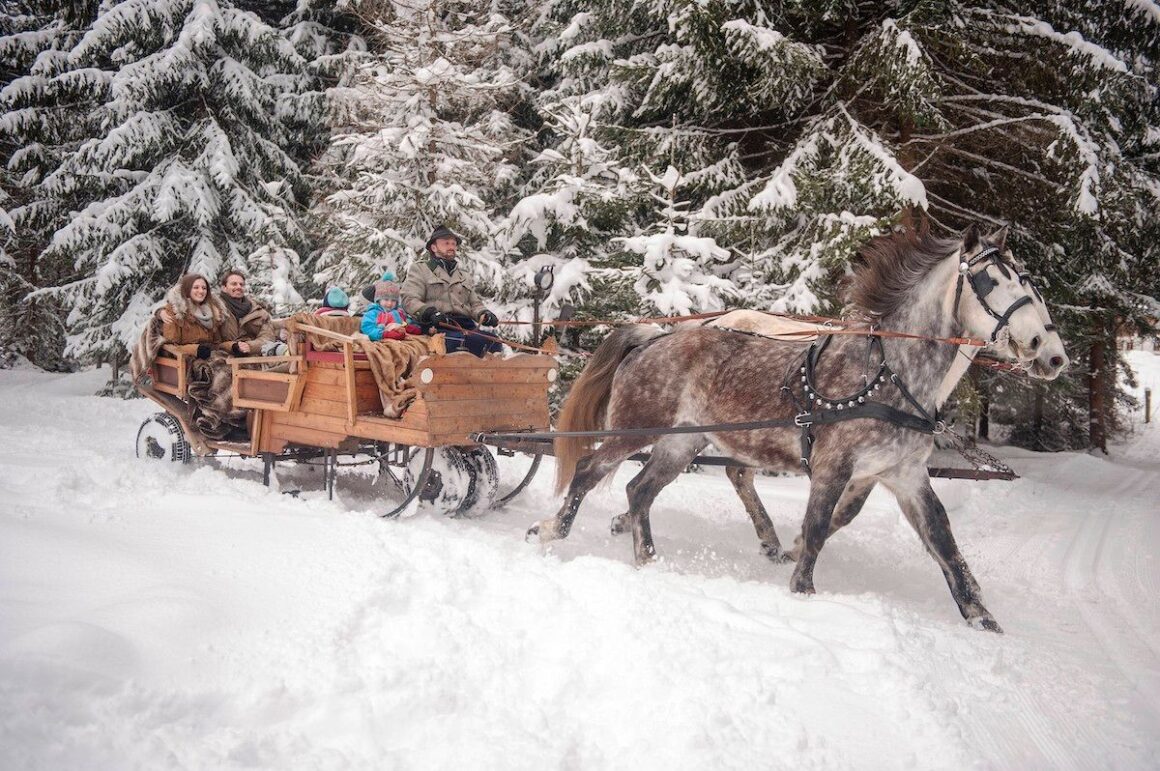 Winterausflug im Vogtland mit dem Pferdeschlitten